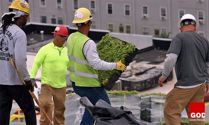 Workers installing panels one by one. Photo credit: Chris Ryan / AN.