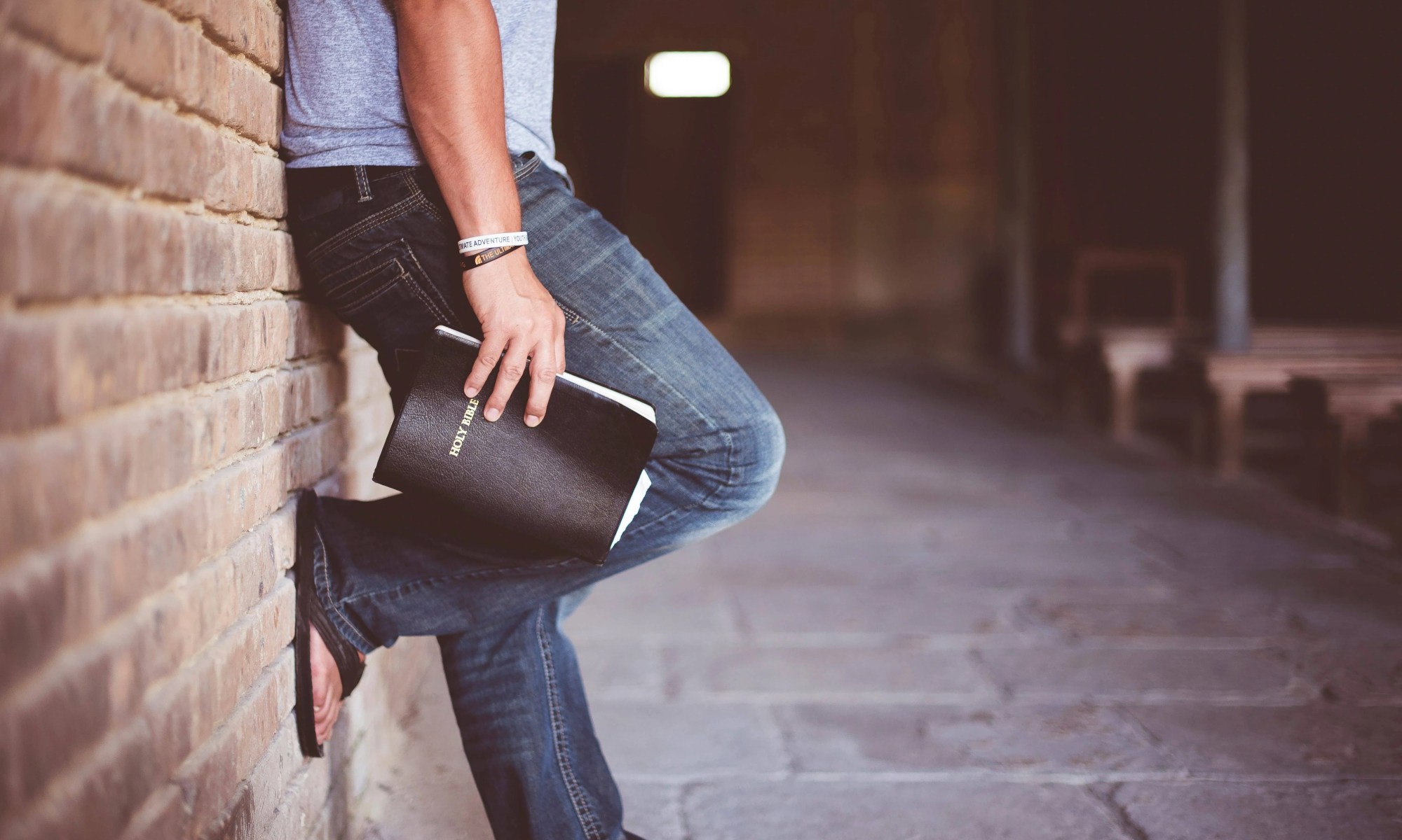 8 Powerful Healing Plants from the Bible