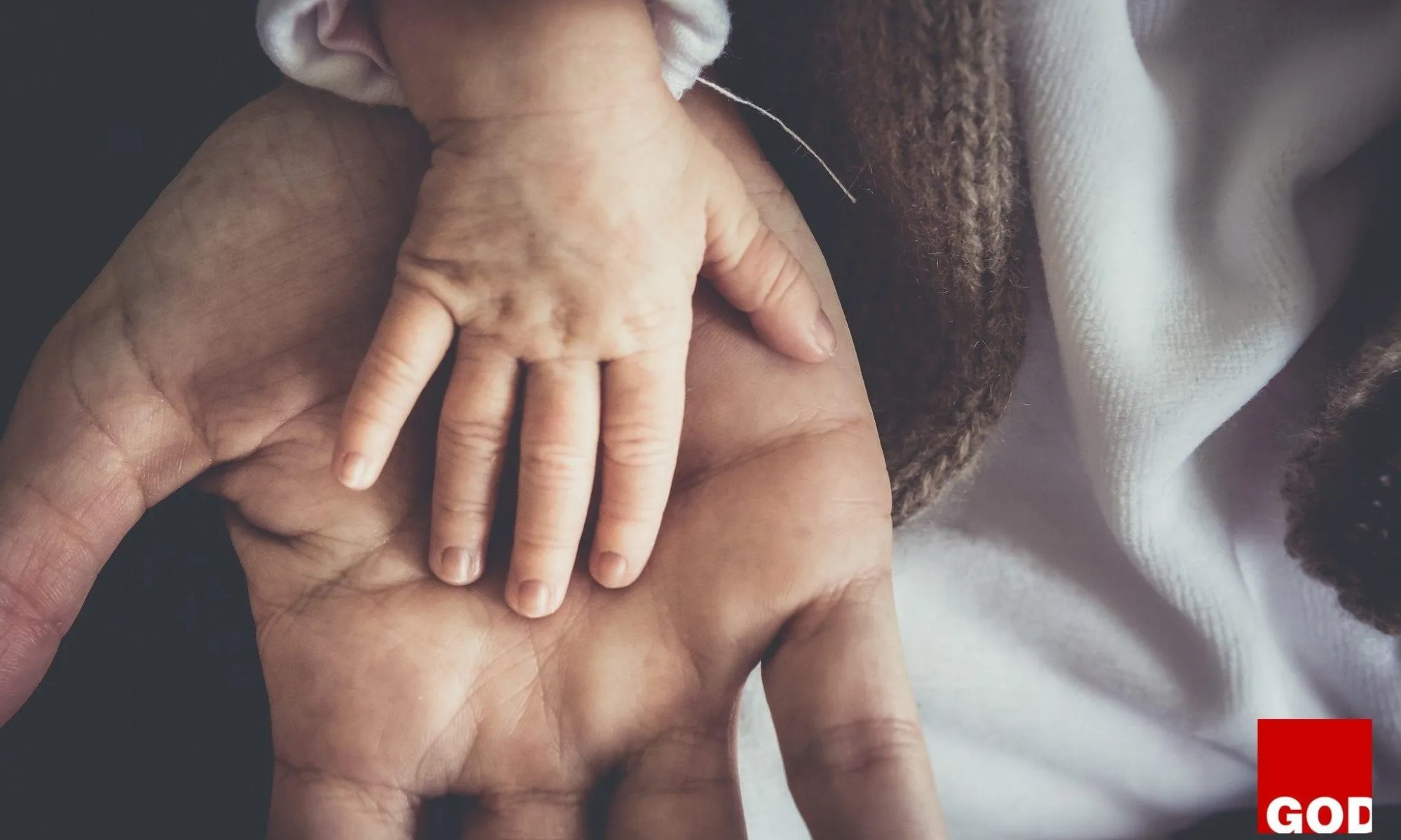 What Does The Bible Say About Gentleness?