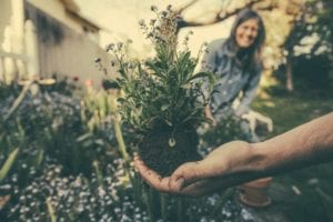 Landscape Garden Community